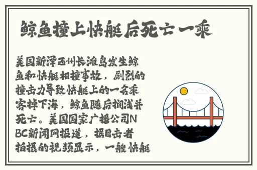 糖心柚子猫圣诞节的礼物